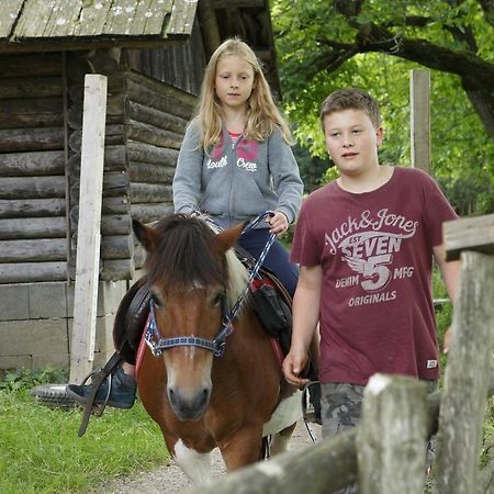 Allesbauer - Familie Preis Trebesing Exterior foto